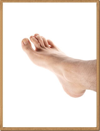 Male foot
